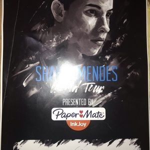 MAKE OFFER Shawn mendes signed poster
